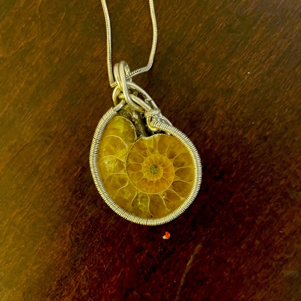 Sold/ Sterling Hand WrApped Fossil Pendant Necklace
